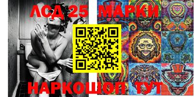 apvp Аша