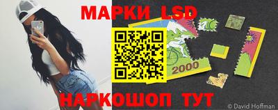 apvp Аша