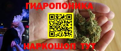 apvp Аша