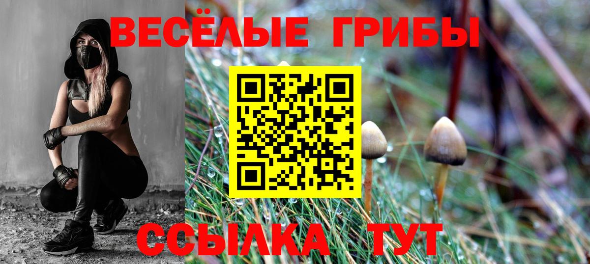 Галлюциногенные грибы Magic Shrooms  Псилоцибиновые грибы Psilocybine cubensis  Вход с VPN  Богородск 