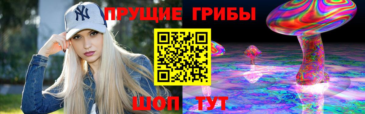Псилоцибиновые грибы Psilocybe Богородск
